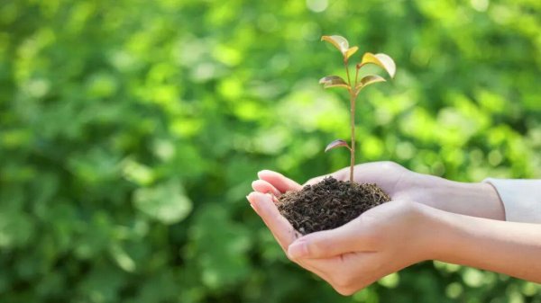 股市配资 曾被断言“没救”的她，凭这个方法逆转了结果